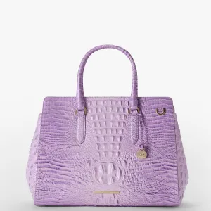 Finley Carryall Brahmin