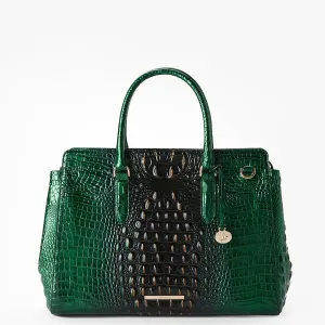 Finley Carryall Brahmin
