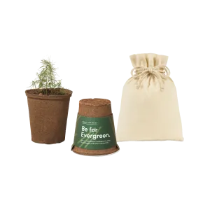 One-For-One Tree Kits