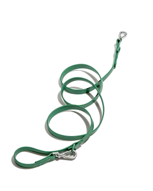 Wild One Leash